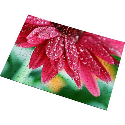 Sublimation Puzzle